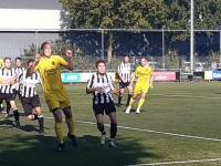 BVV Borne verliest nipt van kampioenkandidaat De Tukkers